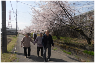 お花見