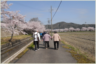 お花見